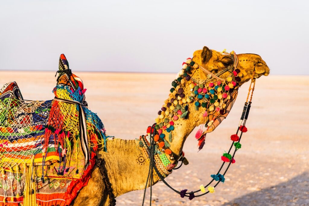 20 Best Places to Visit in India in August